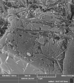 Obr. 10 Struktura srostlch krystal ettringitu a portlanditu identifikovan ve vech sledovanch vzorcch beton