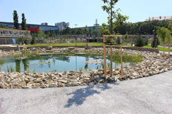 Pilotní projekt městského Parku Jáma v Bratislavě s efektivním využitím vody v krajině