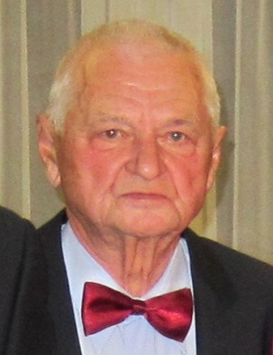 Prof. Ing. Jaroslav Valek, PhD. 