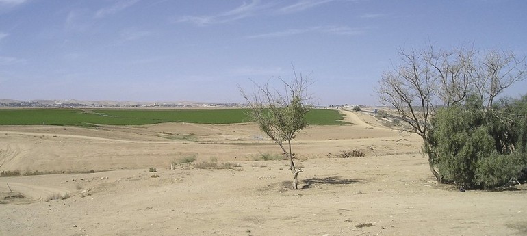 Obr. 2: Typick pohled na krajinu v Izraeli, i v pouti lze dky zvlahm vidt prosperujc zemdlsk pole
