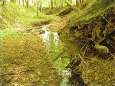 Obr. 3. Vysychající koryto vodního toku Rakovec je dotováno z čistíren odpadních vod. Foto: D. Křenek