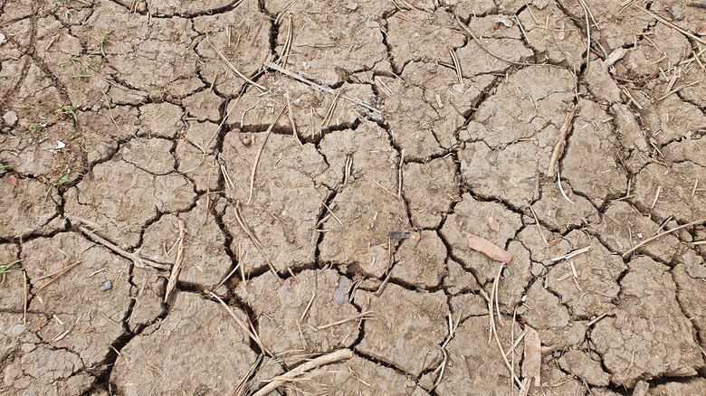 Dotace na nov zdroje pitn vody budou pokraovat, sucho, ilustran foto redakce