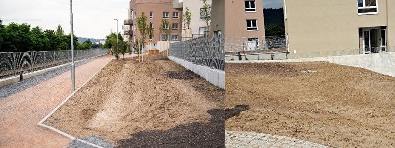 Obr. 3. Vsakovac prlehy v arelu Modanskho cukrovaru (foto: I. Kabelkov a Z. Havlnov)