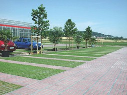 Proč jsou zasakovací rošty AS-TTE ideálním řešením pro okolí stromů