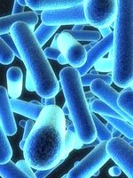 Legionella odstrann dezinfekce vody Euroclean s.r.o. 