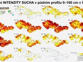 Pdn sucho vymizelo,obr. www.intersucho.cz