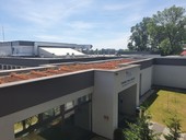 Změna vyhlášky zvýhodní budovy se zelenými střechami,  foto redakce