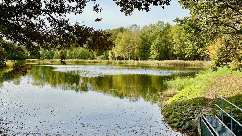 foto: redakce foto: redakce